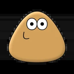  Pou 